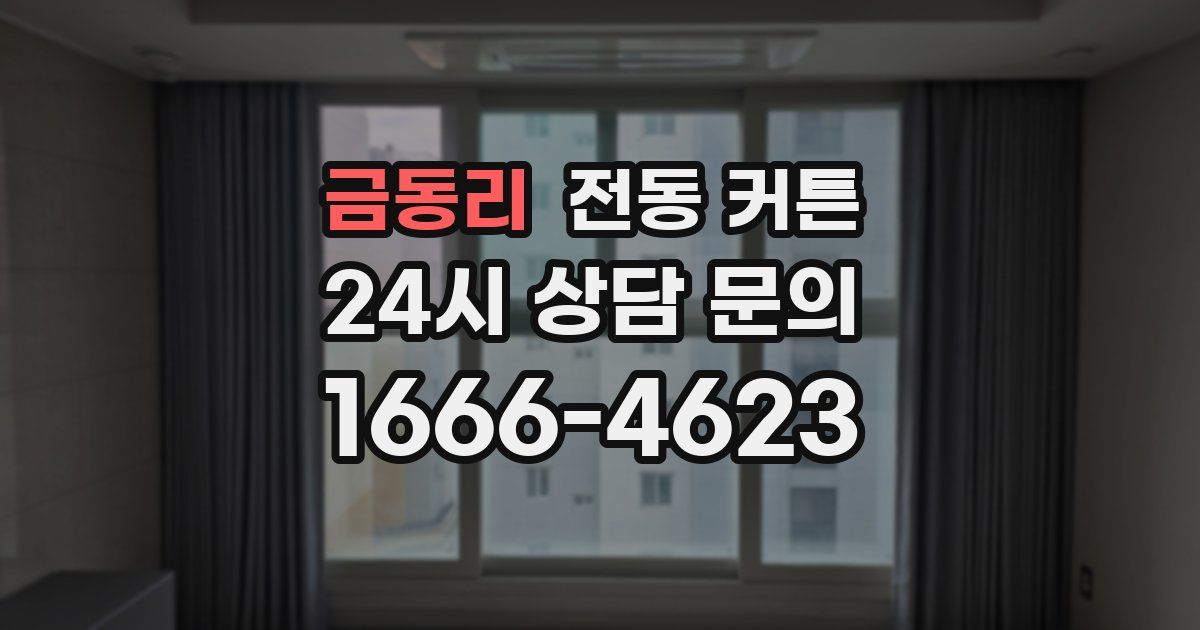 금동리 전동 커튼