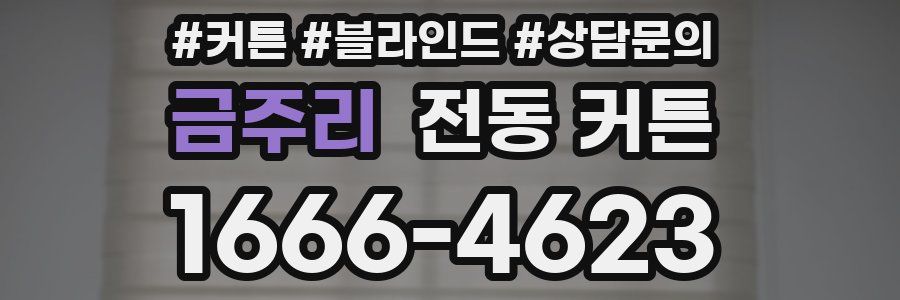 금주리 전동 커튼