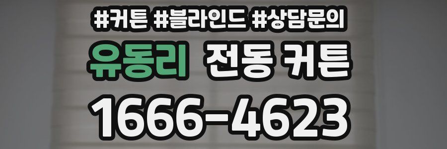 유동리 전동 커튼