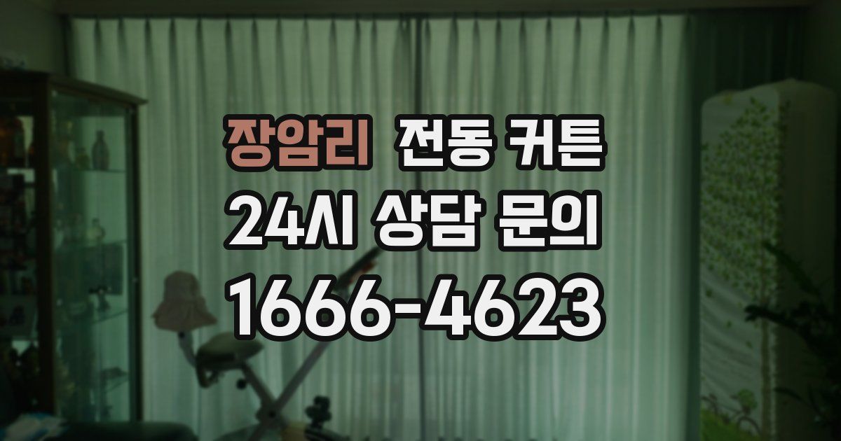 장암리 전동 커튼