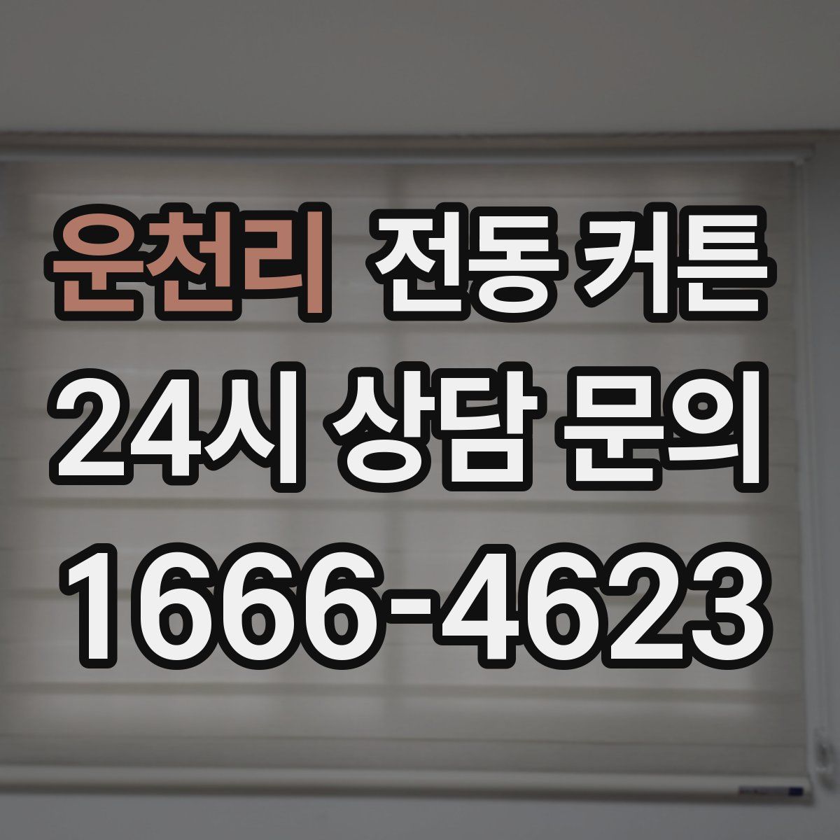 운천리 전동 커튼