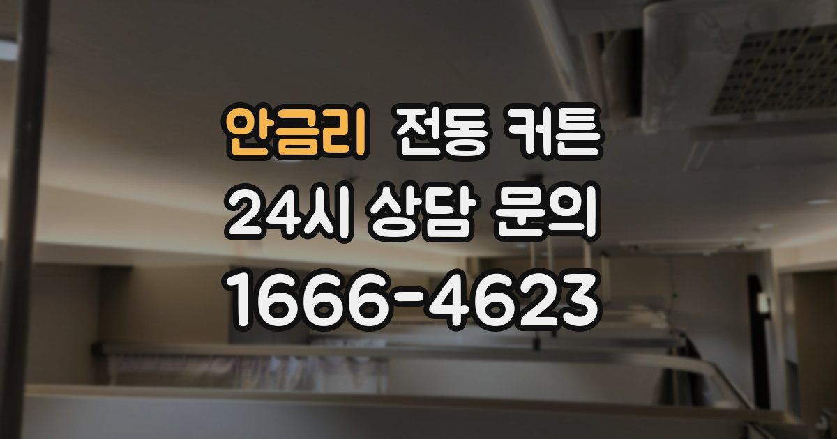 안금리 전동 커튼