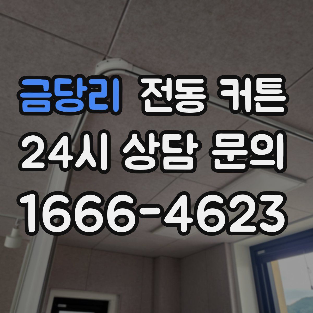 금당리 전동 커튼