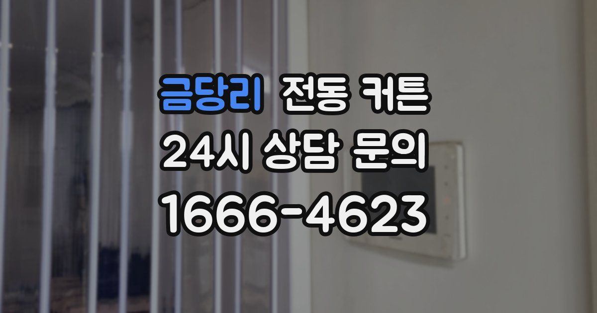 금당리 전동 커튼