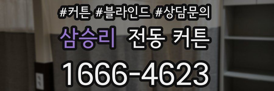 삼승리 전동 커튼