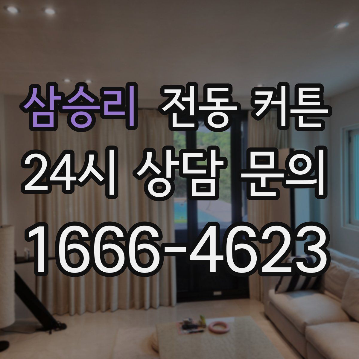 삼승리 전동 커튼