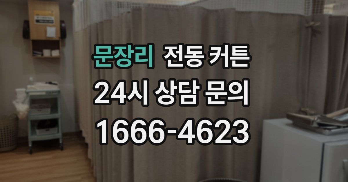 문장리 전동 커튼