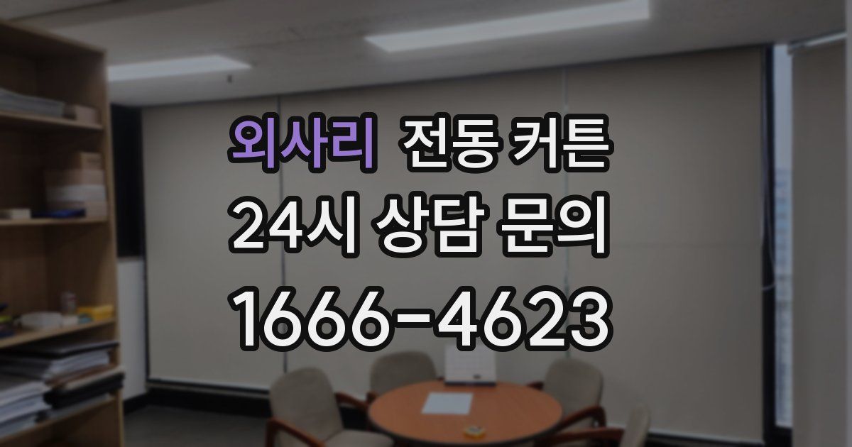 외사리 전동 커튼
