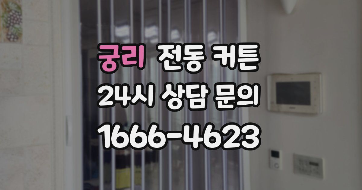 궁리 전동 커튼
