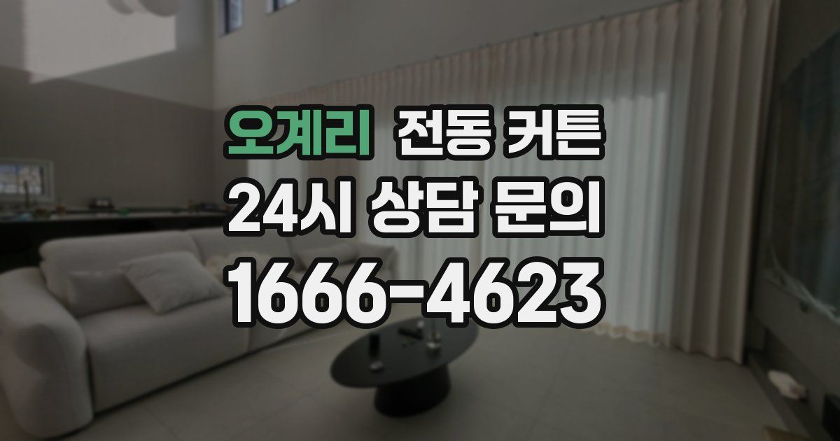 오계리 전동 커튼