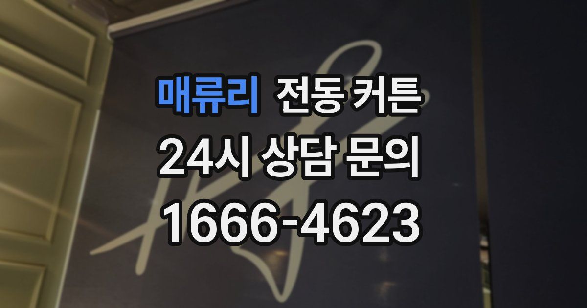 매류리 전동 커튼