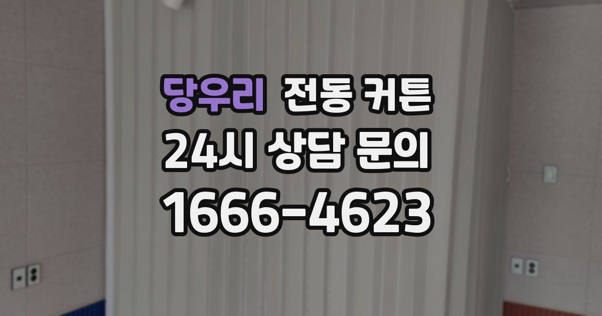 당우리 전동 커튼