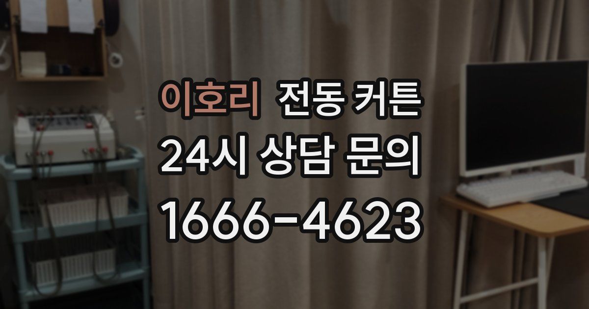 이호리 전동 커튼