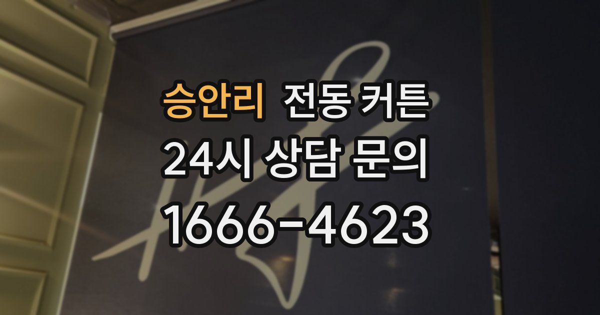 승안리 전동 커튼