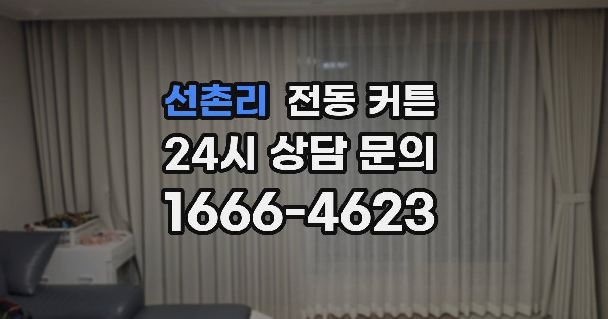 선촌리 전동 커튼