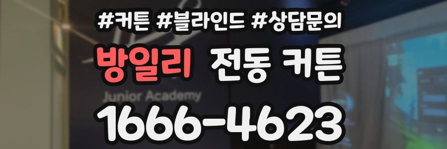 방일리 전동 커튼
