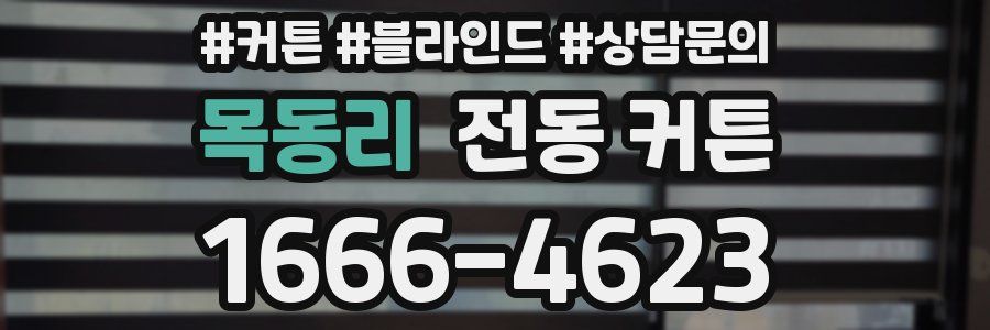 목동리 전동 커튼