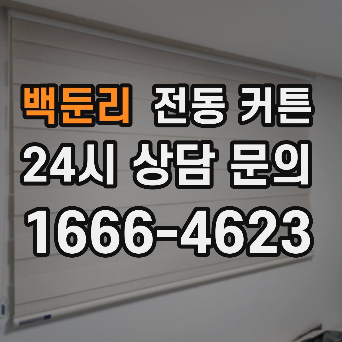 백둔리 전동 커튼