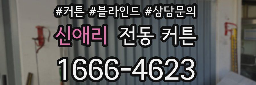 신애리 전동 커튼