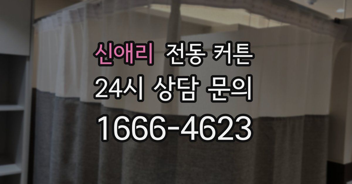 신애리 전동 커튼