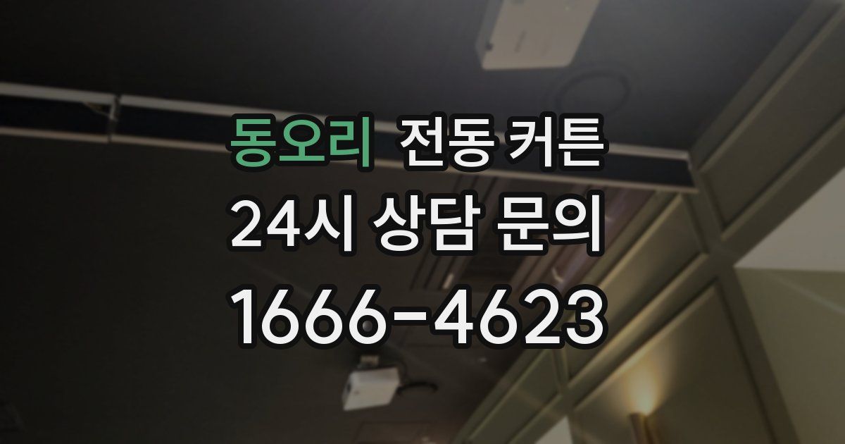 동오리 전동 커튼
