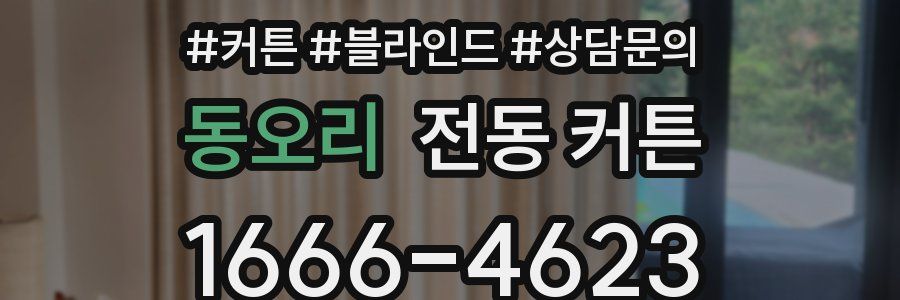 동오리 전동 커튼