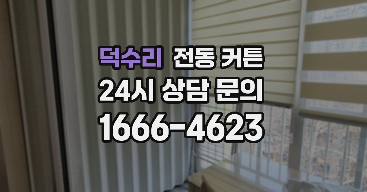 덕수리 전동 커튼