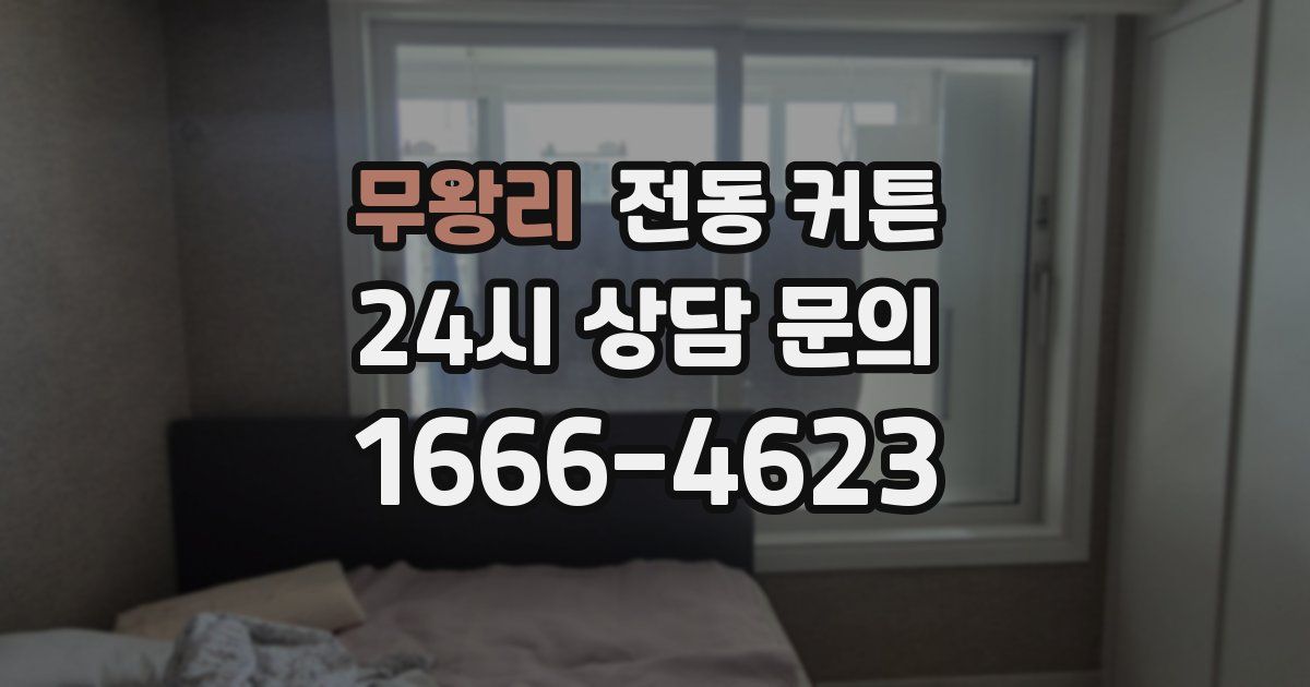 무왕리 전동 커튼