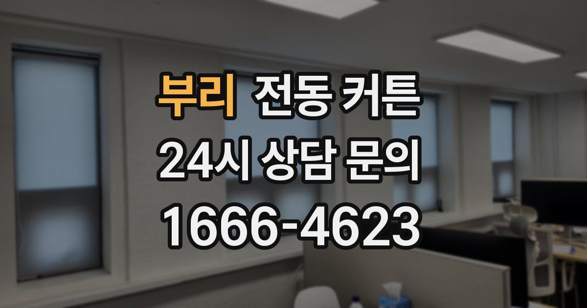 부리 전동 커튼