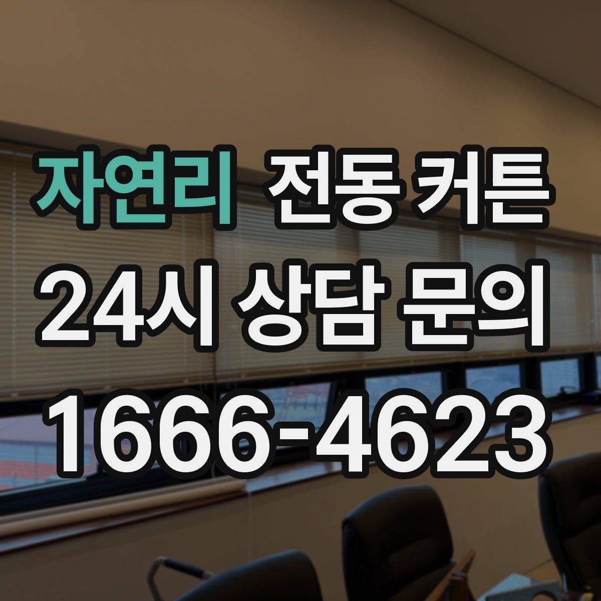 자연리 전동 커튼