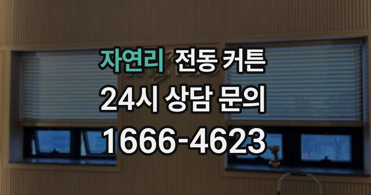 자연리 전동 커튼