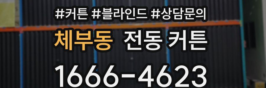 체부동 전동 커튼