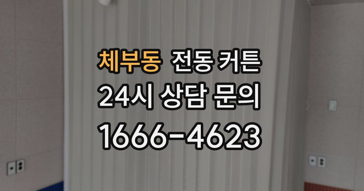 체부동 전동 커튼