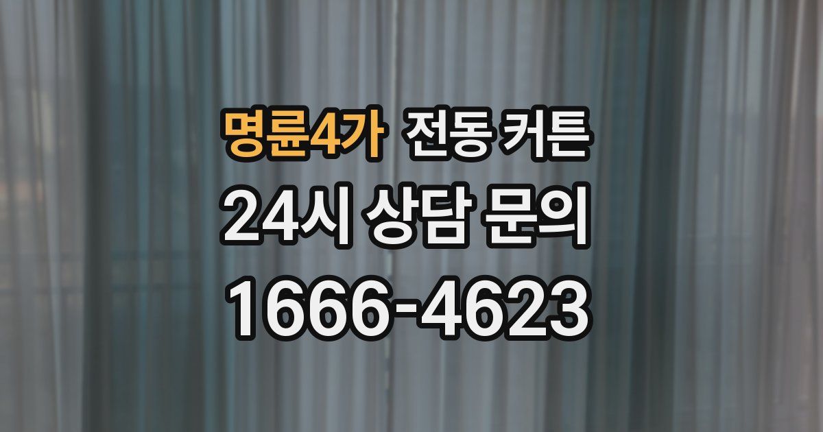 명륜4가 전동 커튼