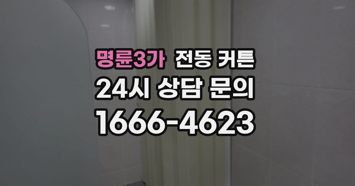 명륜3가 전동 커튼