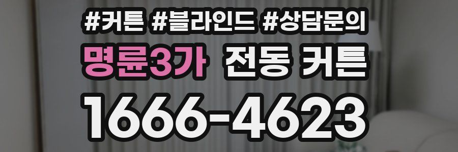 명륜3가 전동 커튼