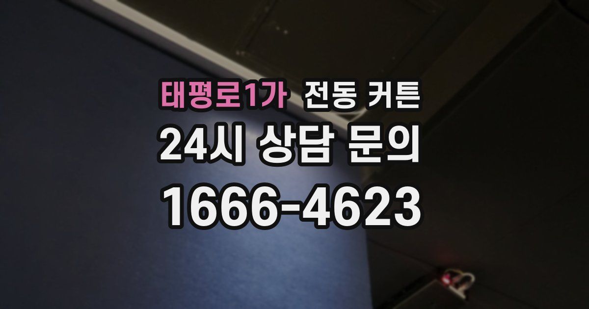 태평로1가 전동 커튼