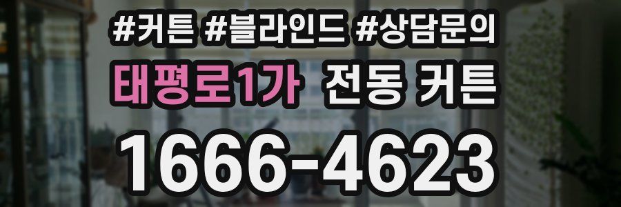태평로1가 전동 커튼