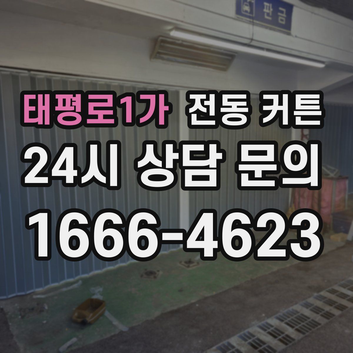 태평로1가 전동 커튼
