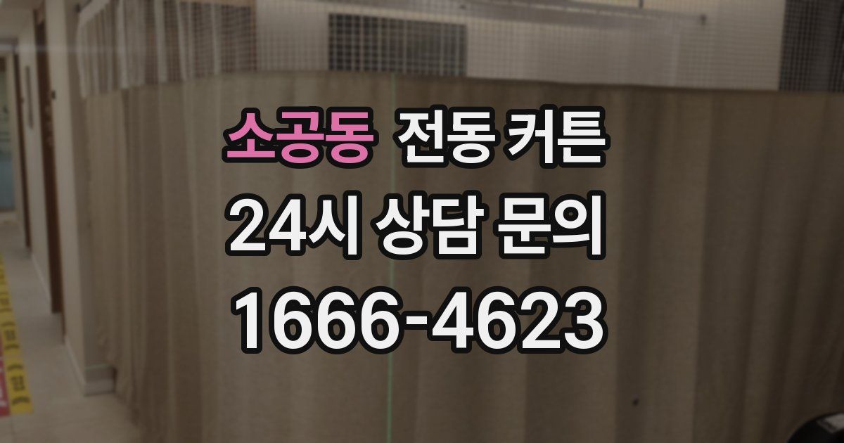 소공동 전동 커튼