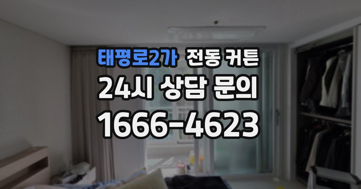 태평로2가 전동 커튼