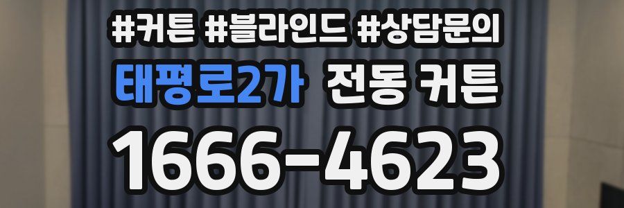 태평로2가 전동 커튼