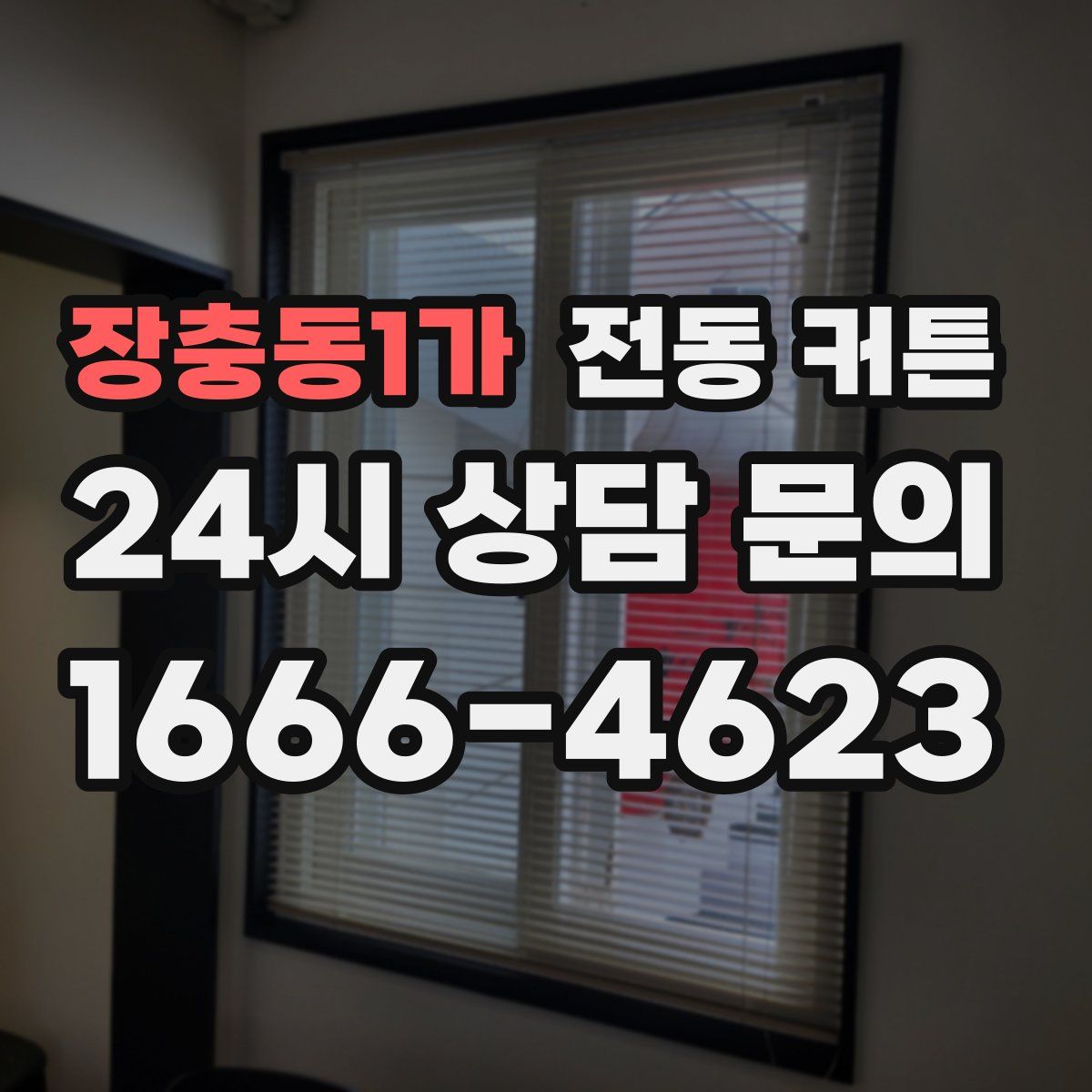 장충동1가 전동 커튼