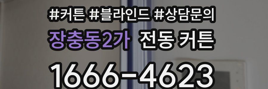 장충동2가 전동 커튼
