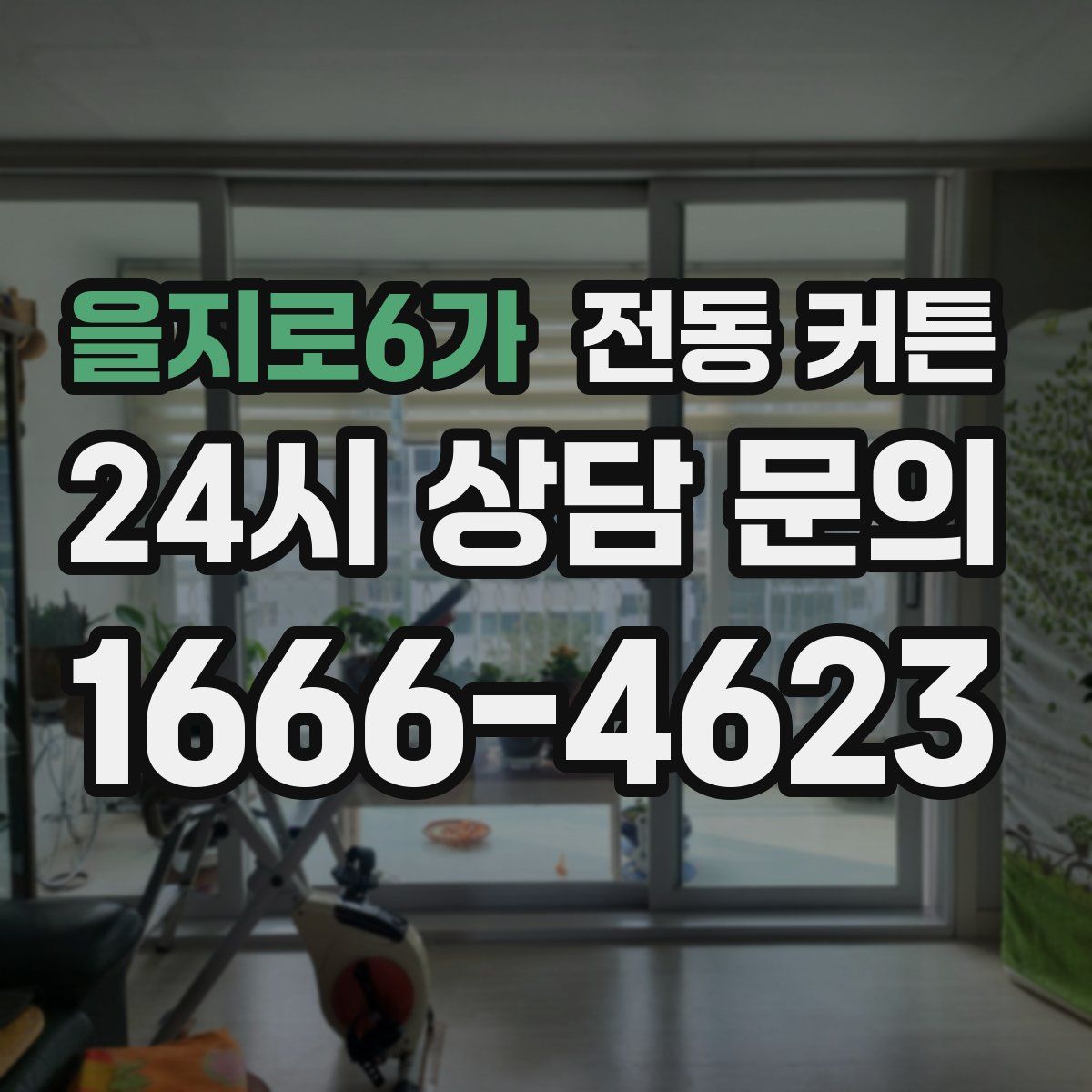 을지로6가 전동 커튼