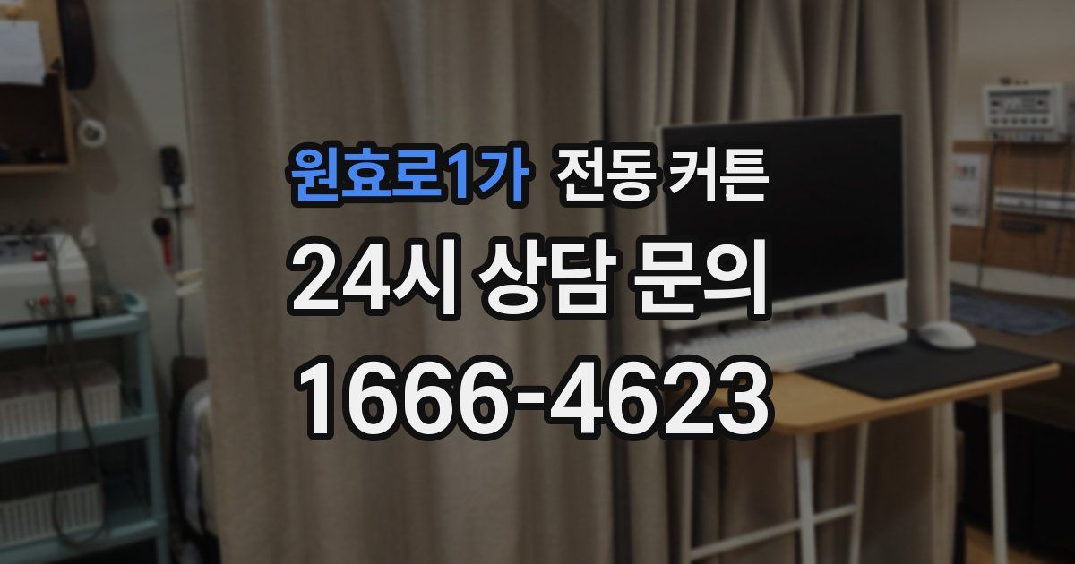원효로1가 전동 커튼