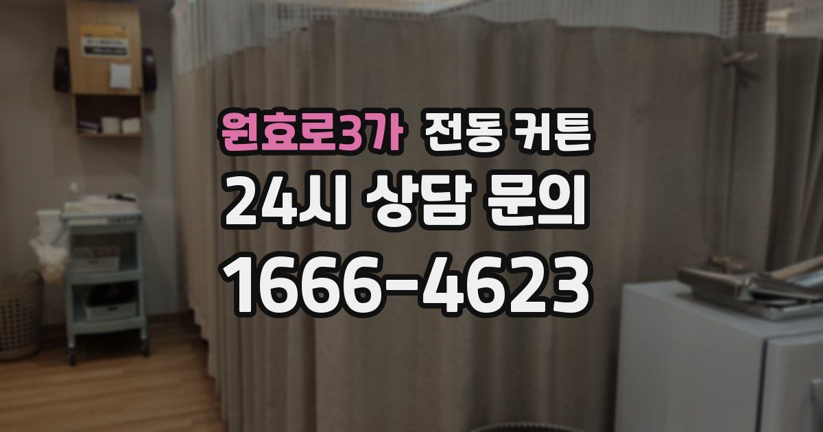 원효로3가 전동 커튼
