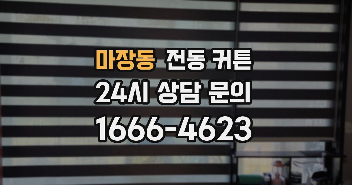 마장동 전동 커튼