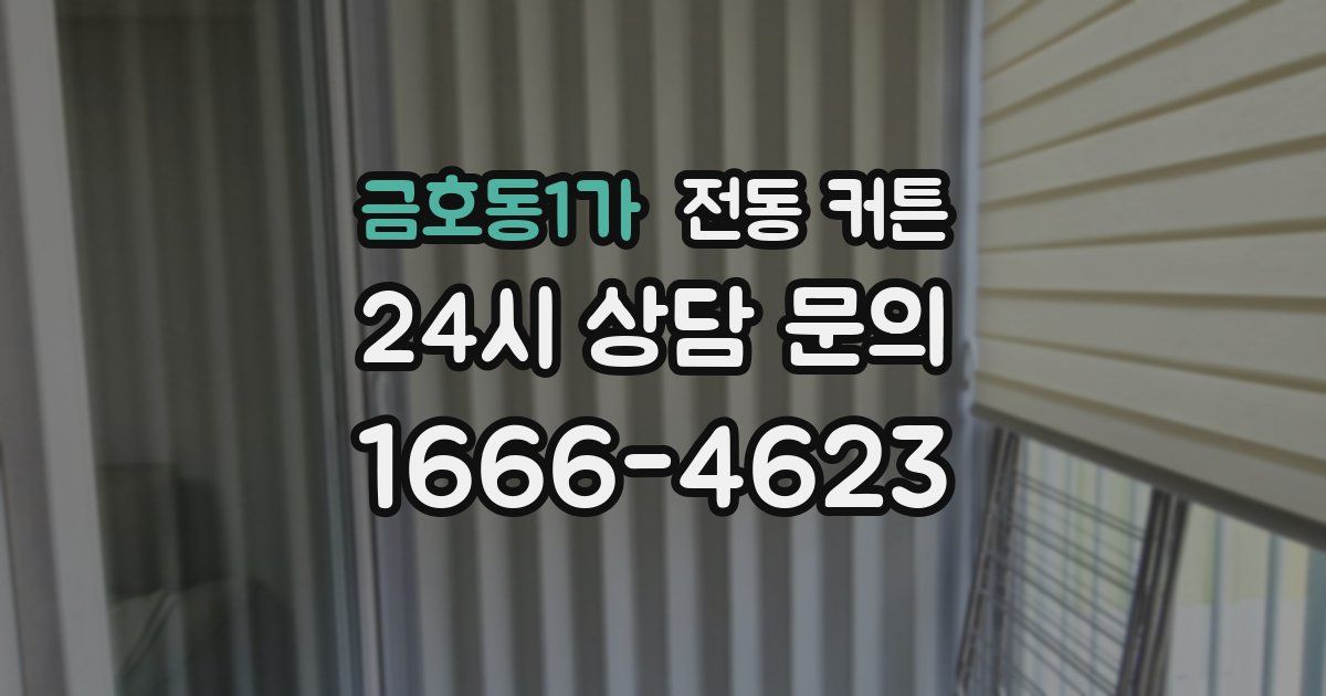 금호동1가 전동 커튼