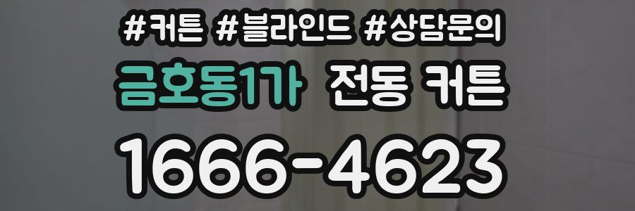 금호동1가 전동 커튼